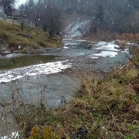 Vakantiehuis федорчуків за рікою1 Sheshory