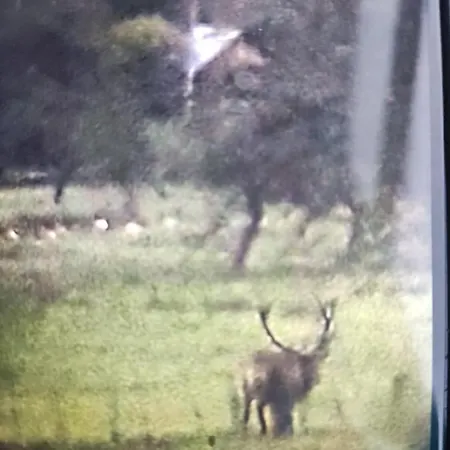 федорчуків за рікою1 Vakantiehuis