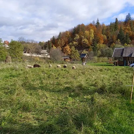 Holiday home федорчуків за рікою1 *