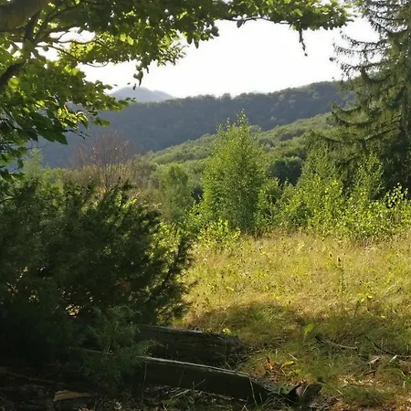 федорчуків за рікою1 Vakantiehuis *