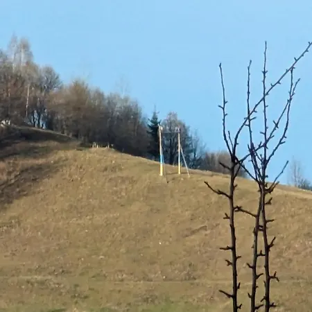 Tatil Evi федорчуків за рікою1