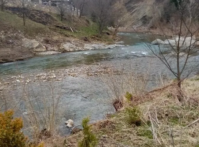 Tatil Evi федорчуків за рікою1 *