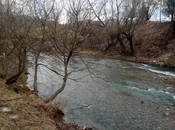 Tatil Evi федорчуків за рікою1