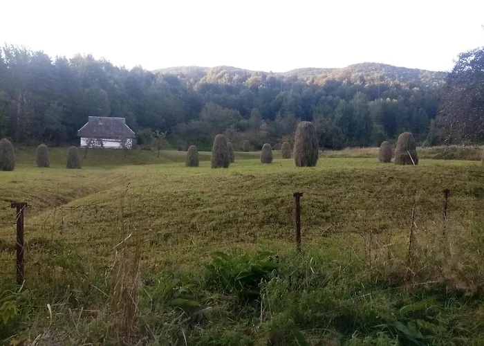 Tatil Evi федорчуків за рікою1