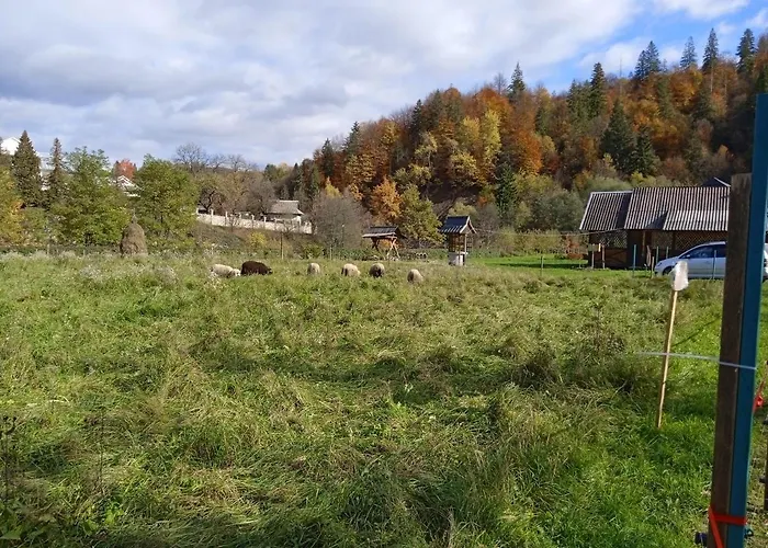 Tatil Evi федорчуків за рікою1 *