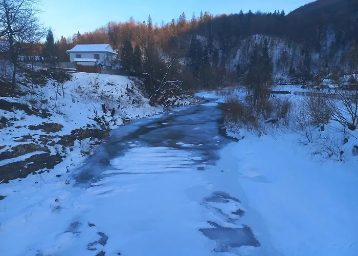 федорчуків за рікою1 Tatil Evi