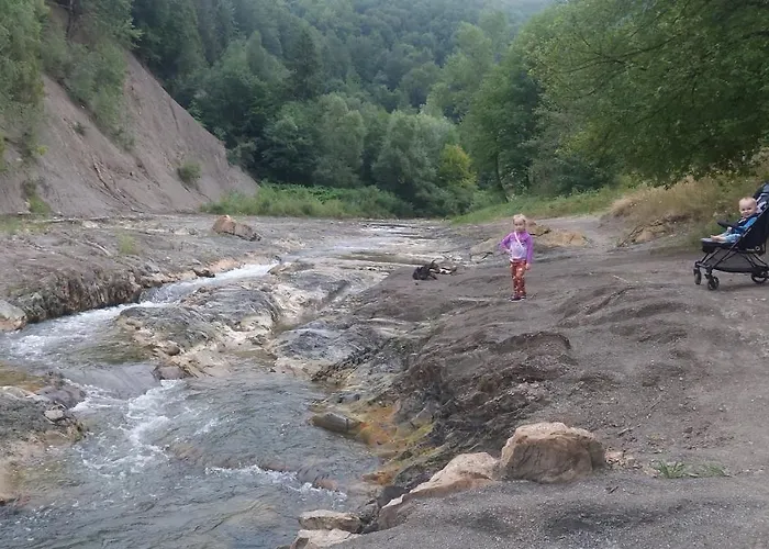 федорчуків за рікою1 Tatil Evi *